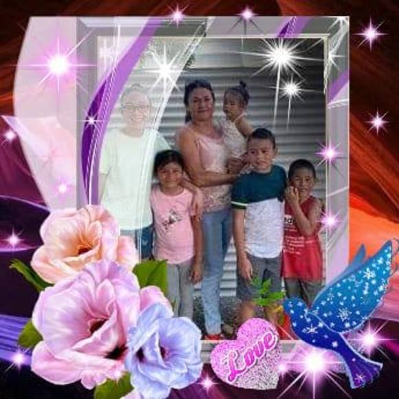 hildahernand629